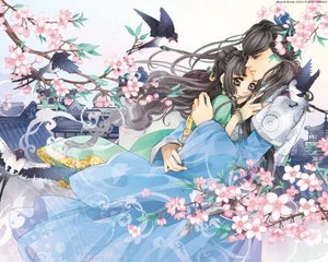 51每日大赛mrds